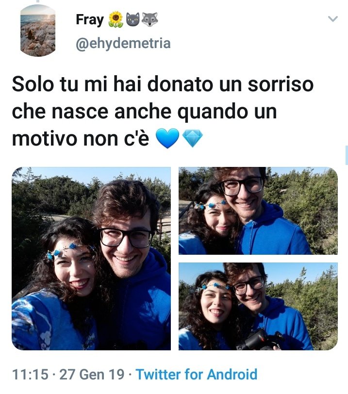 Fra🌻🐺🐢 tweet media