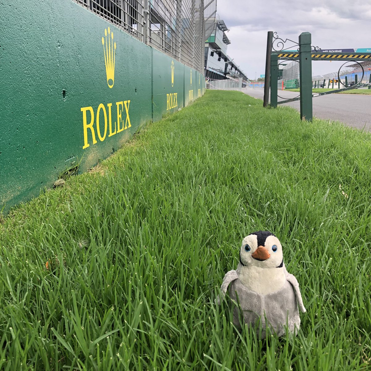 TimingPenguin's tweet photo. Checking out the progress of the Grand Prix circuit on Sunday! We can’t wait for our favourite event of the year! https://t.co/06zYibbft8