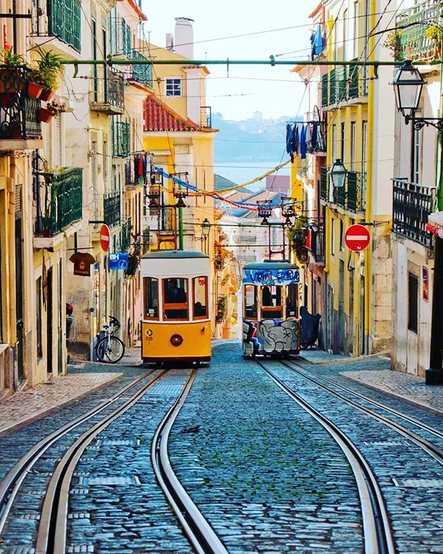 brazucca_'s tweet photo. E  L  E  V 🚋  A  D  O  R
.
#yellowtram #graffiti 
#francescomph #nikon #lisboa #lisboalive #bairro #electrico #tram #lisbontram #gerador #faded_world #faded_portugal #portugalemfiltros #portugalcomefeitos #portugaldenorteasul #Majestic_View #15aoburr… https://t.co/ajEh32GV0n https://t.co/hnACKLBmKt
