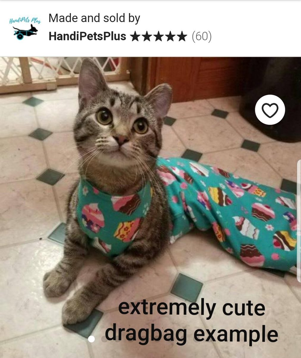 ThornburyRocks's tweet photo. Didja know there's a market for mobility aides for disabled pets? I had no idea but now that Lady Grey is scooting about way more than she should be, I've discovered it's a big deal in the US. Thanks to a lovely maker in Florida & GoFundMe donors, a #dragbag is now on the way! https://t.co/xmXqXwvBnW