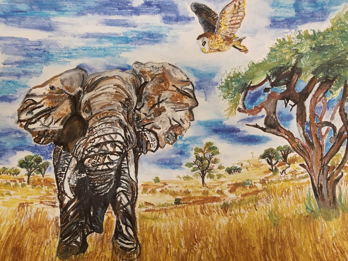 afhsmedia's tweet image. Congratulations to the winners of the "Draw What You Love" Library Art Contest! 1st:MacKenzie Mihm, 2nd:Kayleigh Briggs,3rd: Eaeil Camilotes