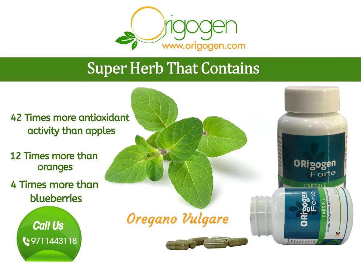 Oregano Vulgare - A Super Herb
#Anti_ulcer ,#Anti_diabetic #Anti_fungal #Anti_tumor #Anti_inflammatory .
#Health #healthfood #nutrition  #DailyHealthTips #cholesterol #heartdisease #stroke.
origogen.com
For trade Enquiries or Franchise
Pls contact +91-9711443118