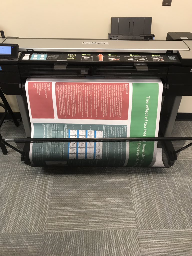 MichelleSpigner's tweet image. Printing Research posters for my AP Bio and Research students! Thanks @BraryBird for the use of your awesome printer!! They look amazing. Next stop...poster presentation sessions &amp;amp; Region Science Fair! #researchisfun @SVHSMagnetNews