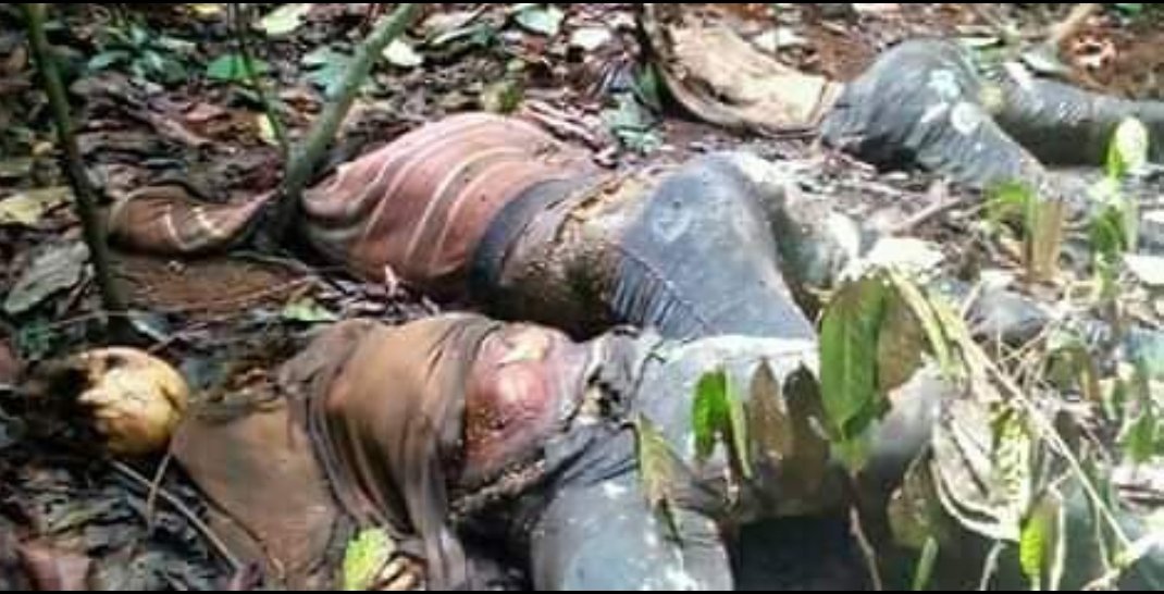 Bategeorge1's tweet photo. We are just having another disturbing pictures from  #SouthernCameroons in #manyumamfe youths that were been killed and dumped in the forest by @PR_Paul_BIYA military.
#genocide in #SouthernCameroons 
@UNHumanRights @AmnestyWARO @USEmbYaounde @AJEnglish https://t.co/6vOGgSj2yP