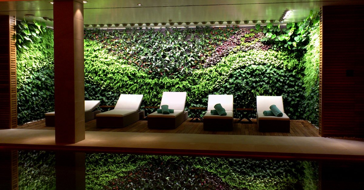 paisajismourb's tweet photo. ¡Nos encanta el ambiente relajante que ofrece el jardín vertical que creamos en el spa del hotel "Castell Son Claret" de Mallorca! ¡Un valor añadido para un bienestar total!
#PaisajismoUrbano #IgnacioSolano #CastellSonClaret #Mallorca #muroverde #jardinverticales https://t.co/MoOhV6V1VZ
