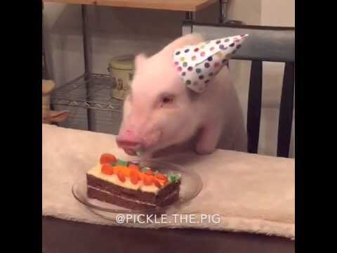 cakelover191's tweet photo. Felt cute might delete later 😊 https://t.co/TgSEbrtxhl
