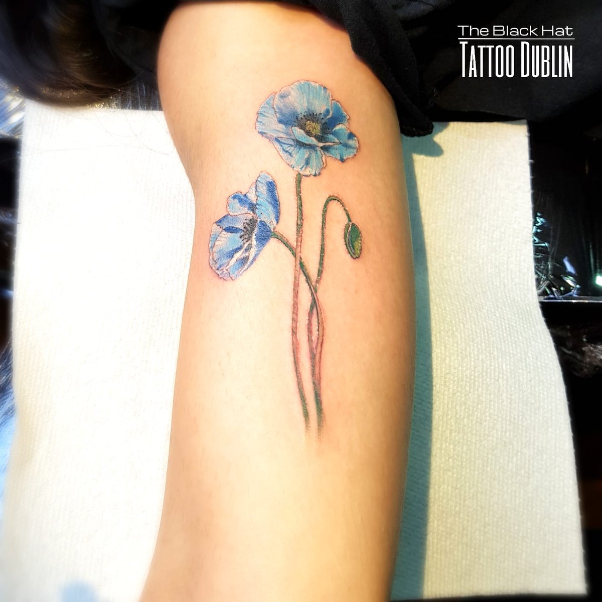 Blackhattattoodublin Most People Ink A Red Poppy Flower But Some Like More Blue Flowers And You Sergy Black Hat Poppyflower Poppyflowertattoo Dublintattoo Flowertattoo Blackhatdublin Tattoodublin T Co 2odptdzxrl