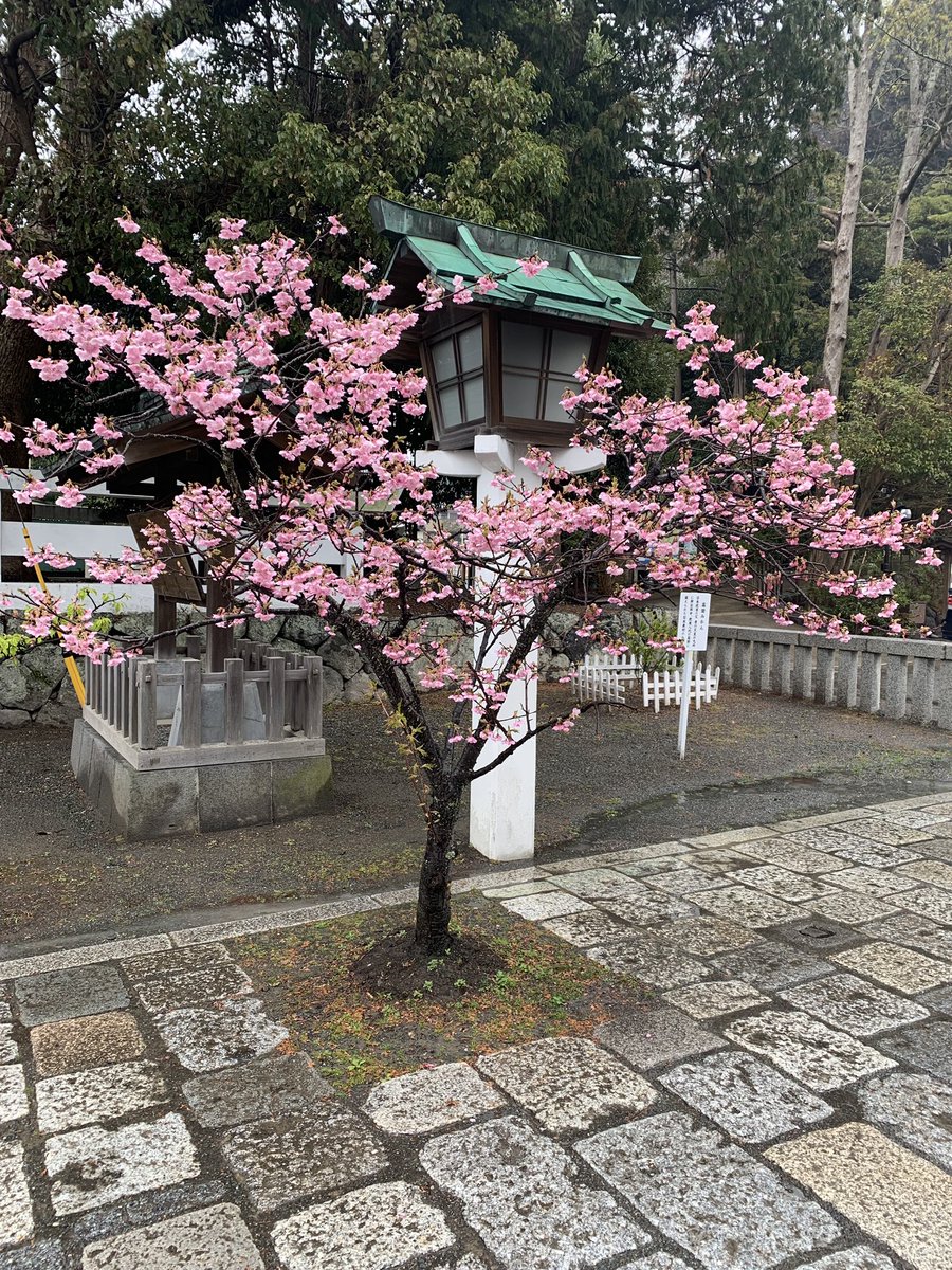 la_dolce_vita_8's tweet photo. #東方神起 ＃TVXQ #changmin #changmin88 #bambi #shimfamily⁉️ #kamakura #shonan #japan https://t.co/rj0sic9yUw