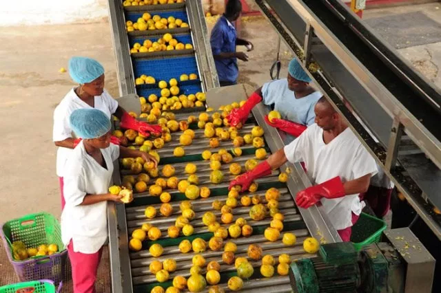 AcetforAfrica's tweet photo. Agricultural transformation involves more than raising productivity on farms. It also covers developing and expanding agricultural value chain activities, upstream and downstream from the farm. ๐๐ฟ๐๐ฟhttps://t.co/MYYa8VLXxv
#ATR2017 #CreatingValue #YouthinAgric #Africa https://t.co/nUn9MnWLjm