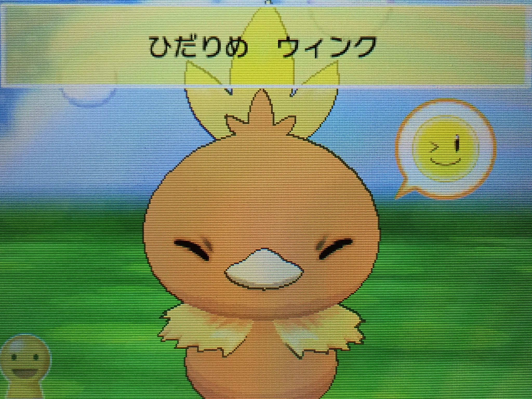 みちこ ラスト看護学生 Ar Twitter ポケパルレの顔マネ遊びで かわいいポケモン 強面なポケモン 伝説のポケモン みーんなウィンクできないのどちゃくそかわいいですよね N回目 T Co Mgff9a8f92 Twitter