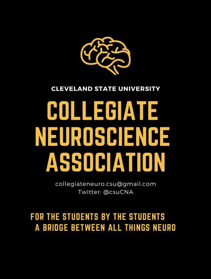 gaysalbanglia's tweet photo. Brain Day tomorrow in 916 of Rhodes Tower! Come hold a real brain and have fun! 🧠 https://t.co/dgLfFfD4k8