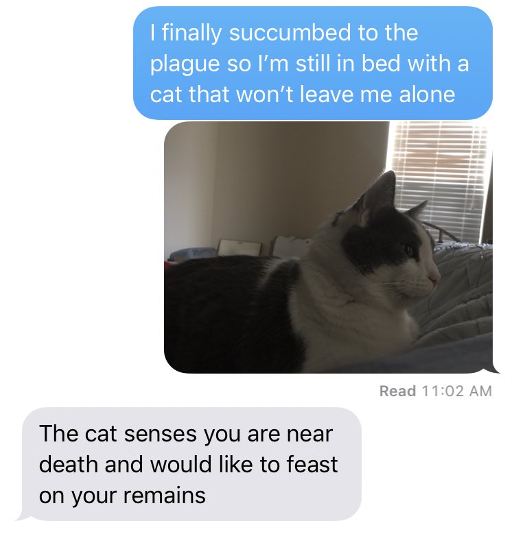 Cantplaypiano's tweet image. #PresentedWithoutComment