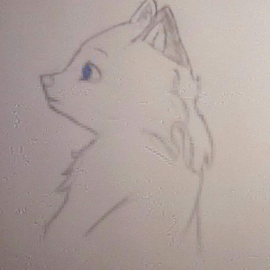culleycai2002's tweet photo. I call her moonwolf
#myfirstoc #princess #notafurry #butilovepets #art #16yearoldartist #draw #youngartist #originalcharacter #wolffo https://t.co/bWZFj3mSxC