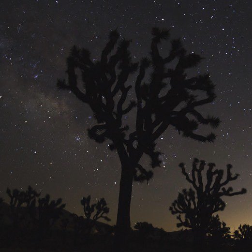 ClovisIV's tweet photo. “To be yourself in a world that is constantly trying to make you something else is the greatest accomplishment” ― Ralph Waldo Emerson ✨🙌🏼
.
.
.
📸 Clovis IV // …Desert night/Full of stars... @joshuatreenps #joshuatreenationalpark #wanderlust #desert #night #sky #stars #space … https://t.co/aGwzt9weg8