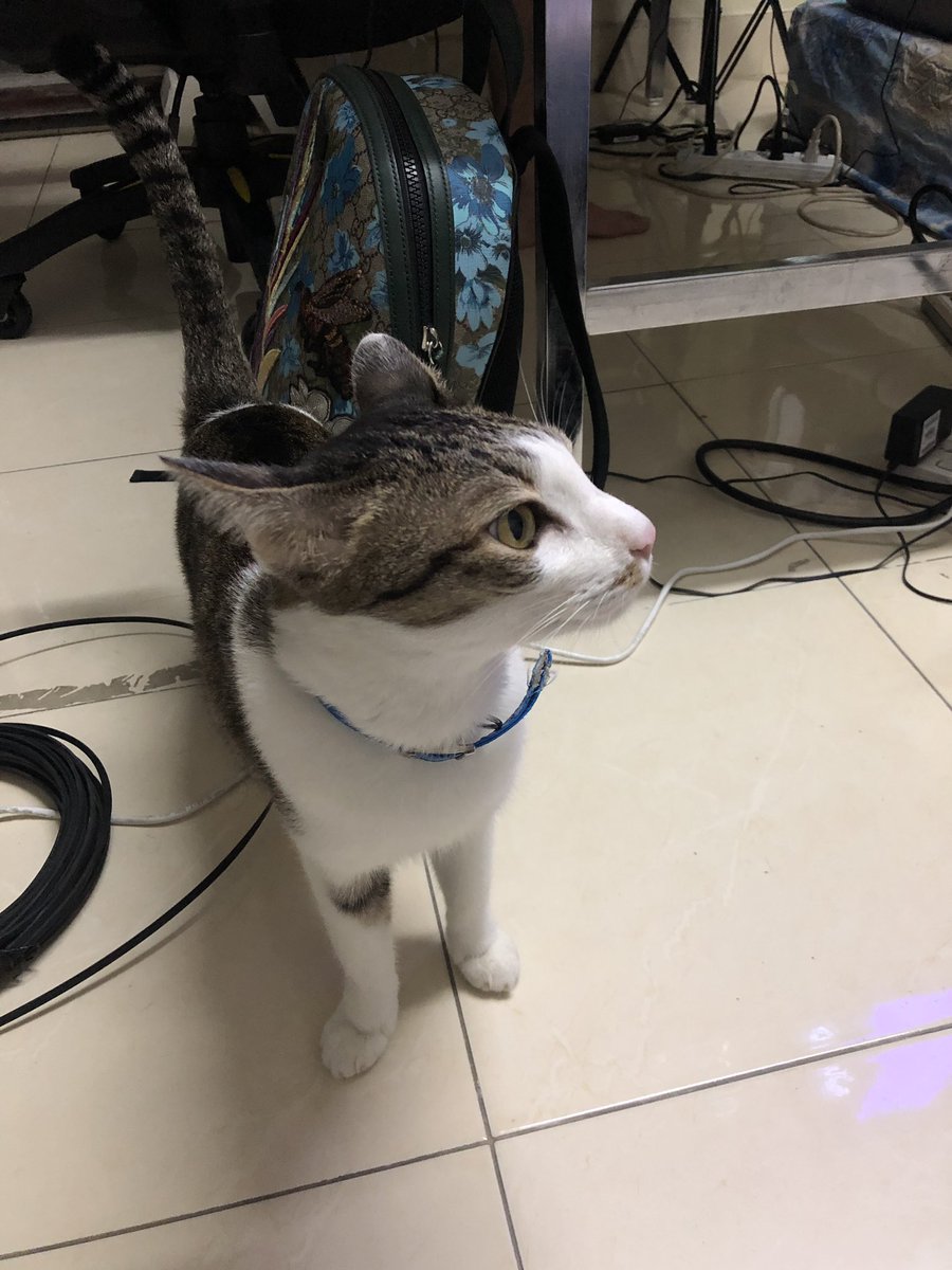 Ksdkrit tweet media