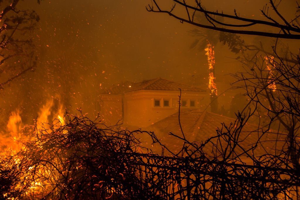 eugenegu's tweet photo. @realDonaldTrump @GovernorKayIvey After the largest wildfires in California’s history, Trump threatened to withhold FEMA funds from the devastated families who lost their homes and loved ones and blamed the state for “poor Forrest management.” He literally gave the state his F treatment. https://t.co/6zYT5S52Vw