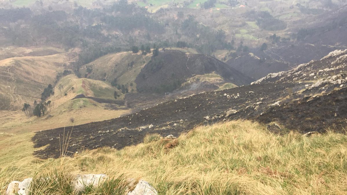 AT_Brif's tweet photo. 17:15📷
➡️2 #BLP @BrifTineo continuan trabajando en #IFParres #Asturias con gran parte del perimetro consolidado.
➡️2 #BLP @BrifTineo continuan con tendido de @BomberosAstur en Ovilley, #IFCangasDelNarcea
➡️Continua en #IFFaedo la #BRIF-i @BrifTineo
Mucha fuerza compañeros!
#IIFF https://t.co/GVTSaJy4M8
