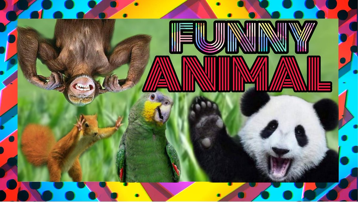 😂WATCH FULL VIDEO! SOON IN THE YOUTUBE CHANNEL 😂m.youtube.com/channel/UC8MtI…