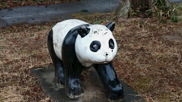 パンダの乗り物 Twitter Search