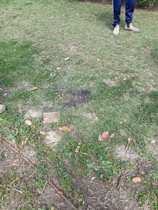 View image on Twitter