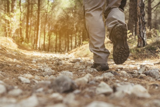 If life gives you lemons... put on your boots and hike. #hikingadventures #outdoorfun #camping ozarkoutdoorworld.com