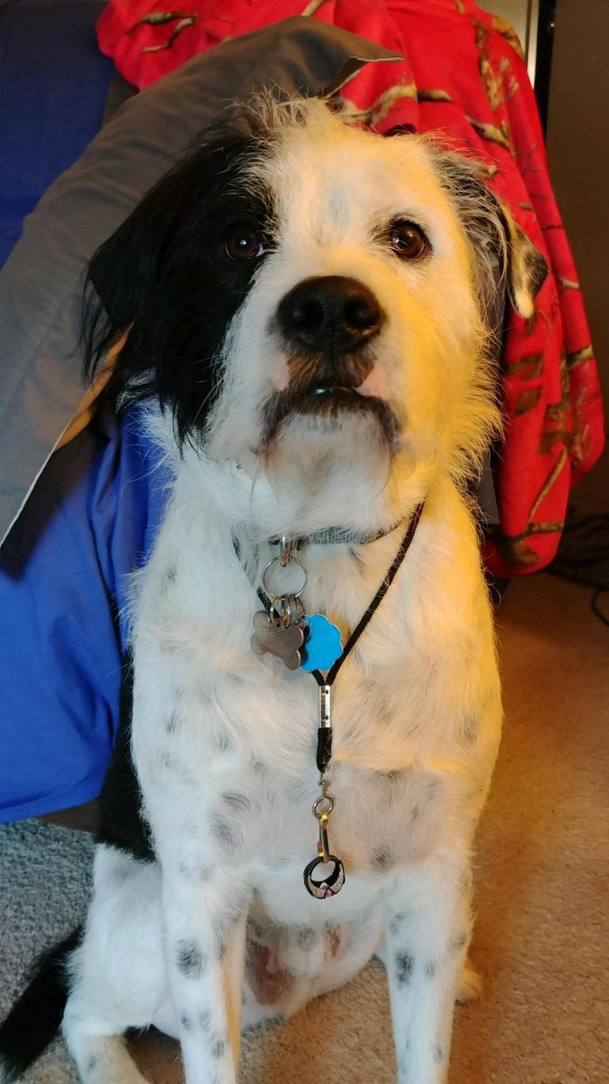 itz_hanner's tweet image. omg b’s baby is the sweetest. love you sweet trooper 😘