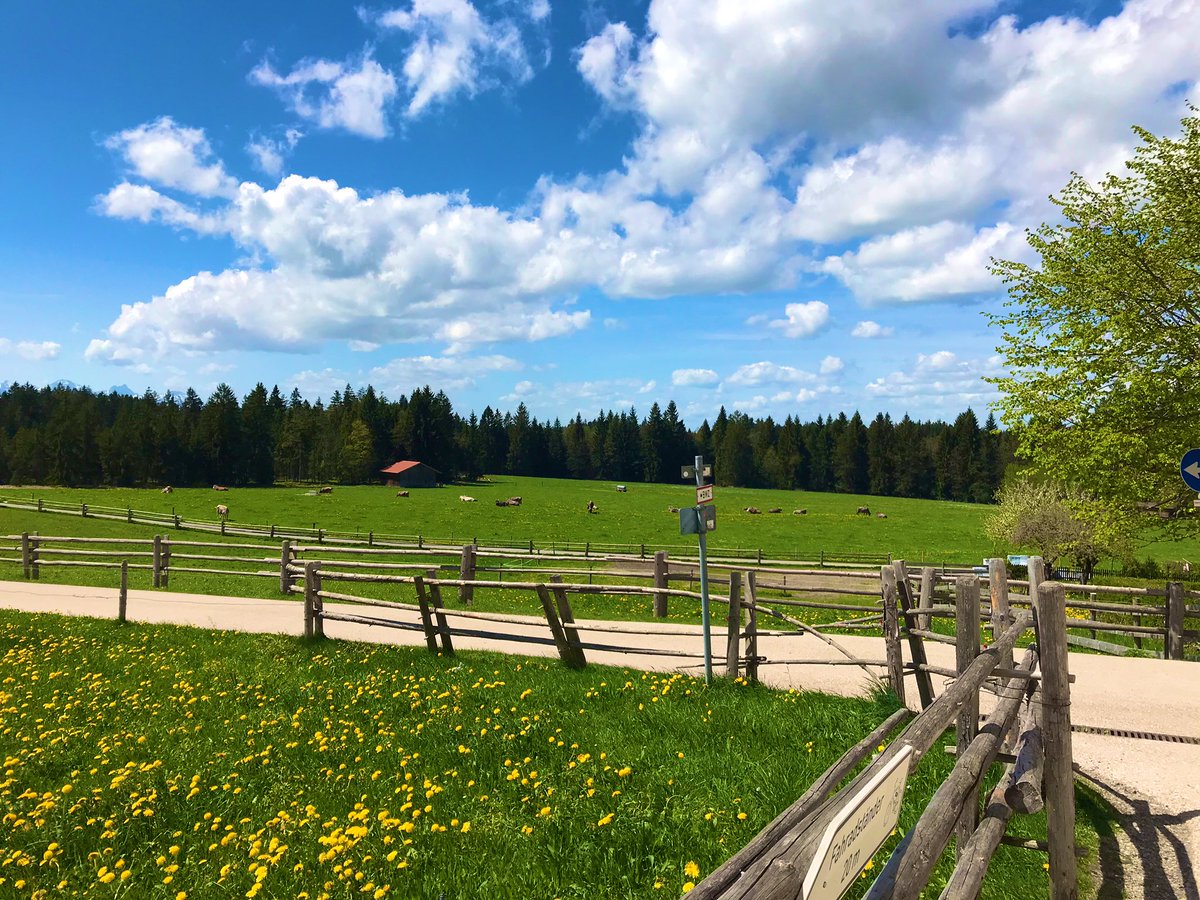 去年ドイツのヴィース教会に行った際に撮った写真です 素朴なものではありますが あずや らくまじょ ヒロいじ連載中のイラスト