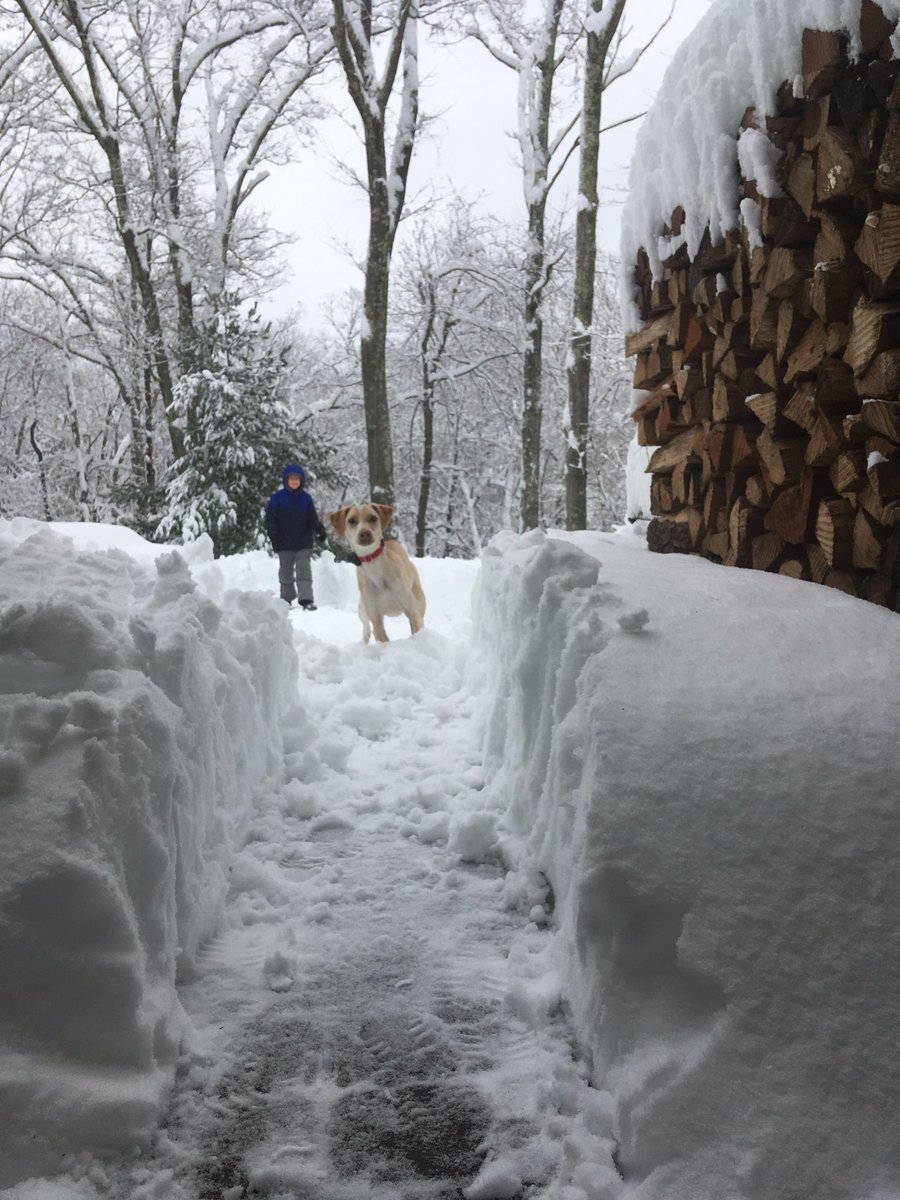 CJWolfram's tweet photo. @ClockerTalk This one’s called, “So the Dog Can Pee”
#MindessSnowDayChallenge #TheWolframsArePractical  @ClockerTalk https://t.co/cEaEv7q41k