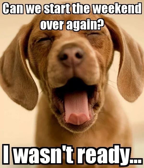 Kimerty's tweet image. Monday, already?
Back to the daily grind...
I’m gonna need more coffee!