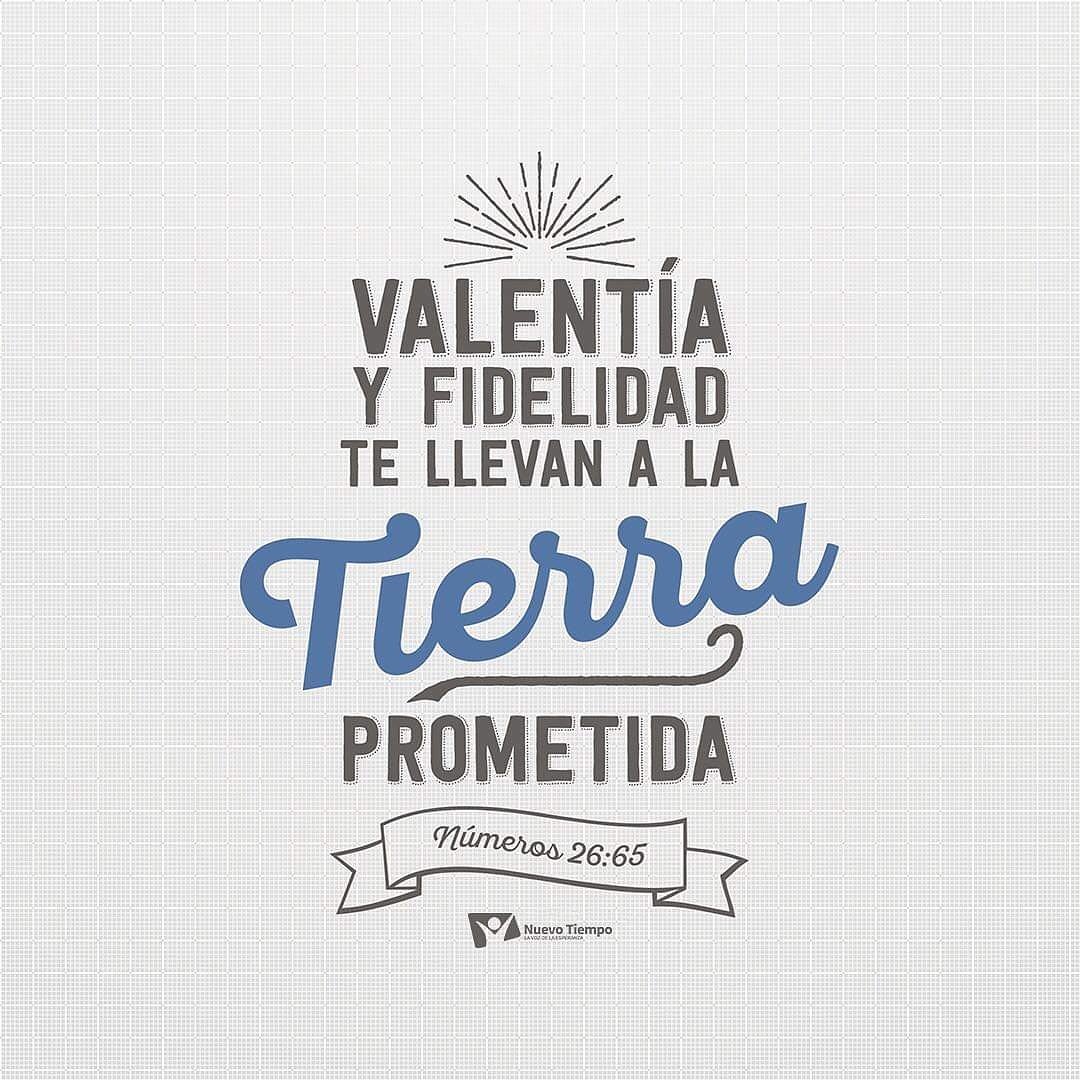Alemidycrisfer's tweet photo. #Num26/ Cuida la herencia que Dios ha designado para ti.
#rpsp https://t.co/axrjHjHTGa