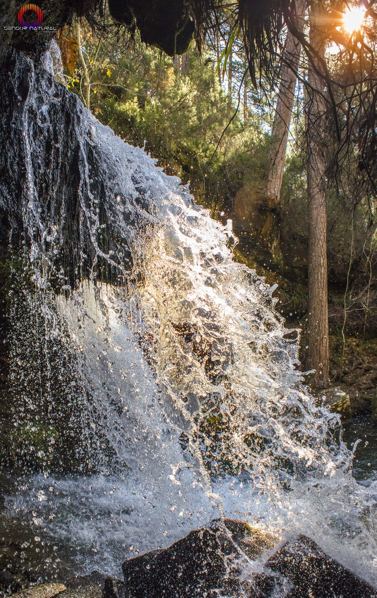 sensor_natural's tweet photo. ¡Deshielo! Cascada del Peñoncito, Covaleda, Soria.
#sensornatural #jcyl #Soria #Covaleda https://t.co/6BKfuOlSAU