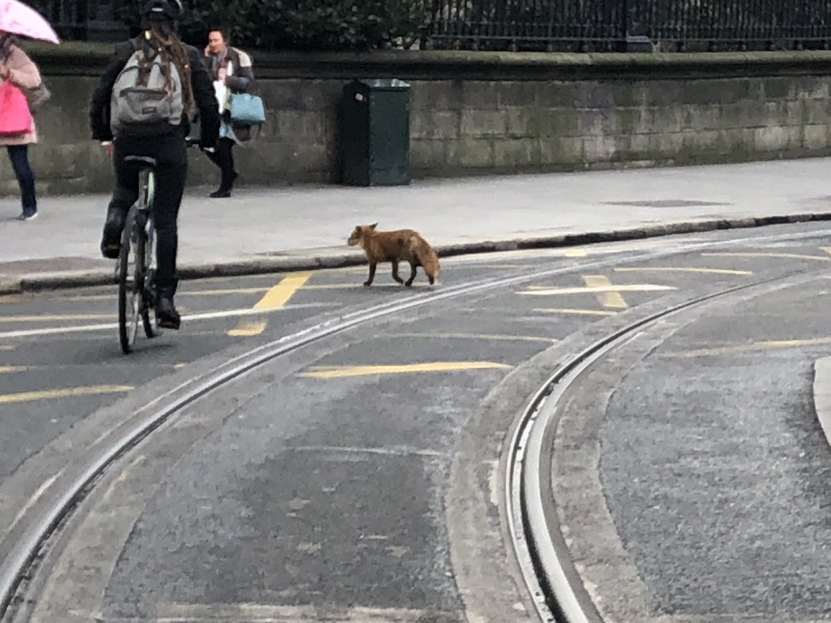 Simon Carswell tweet media