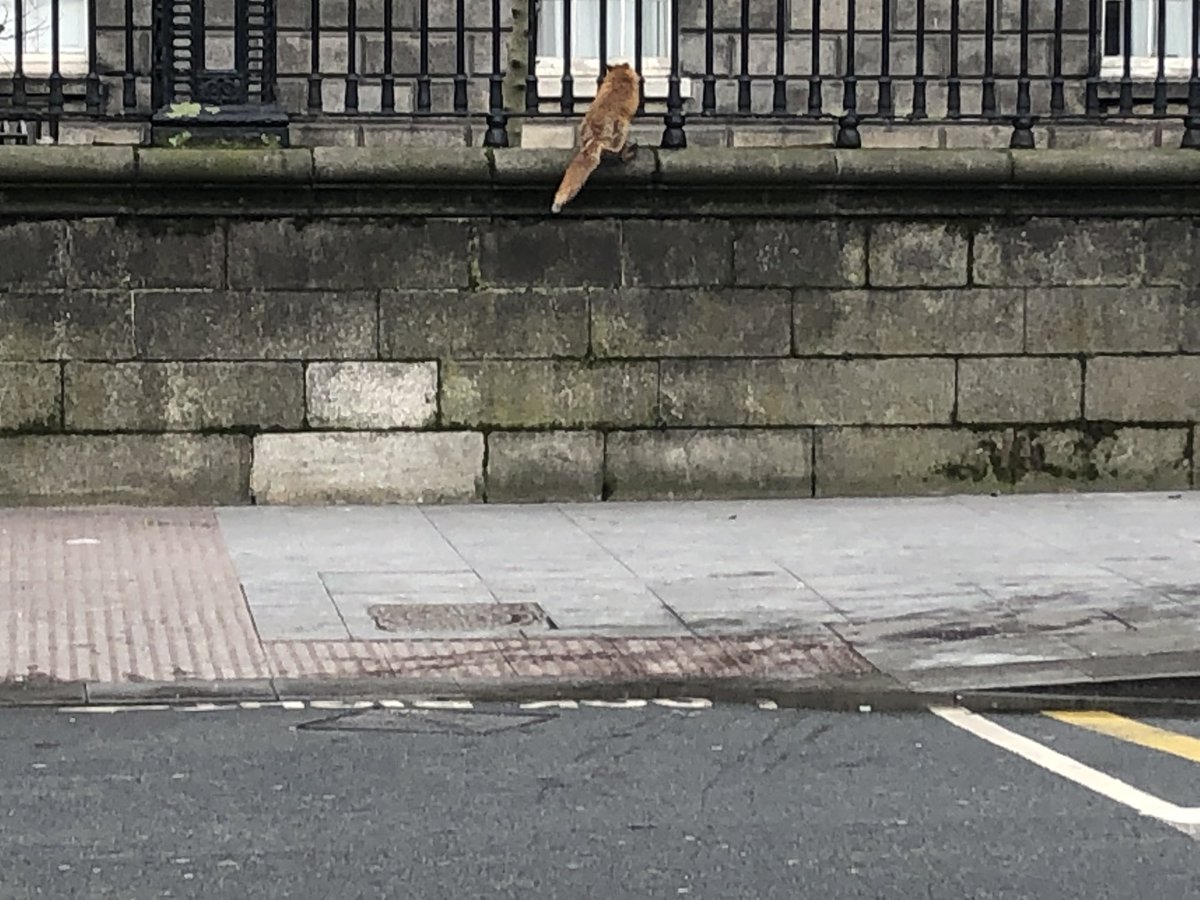 Simon Carswell tweet media