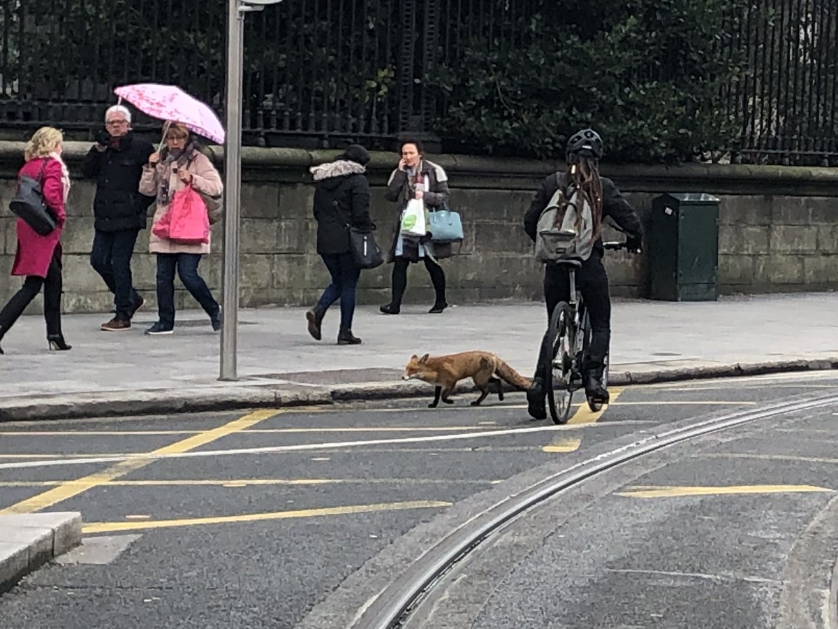 Simon Carswell tweet media