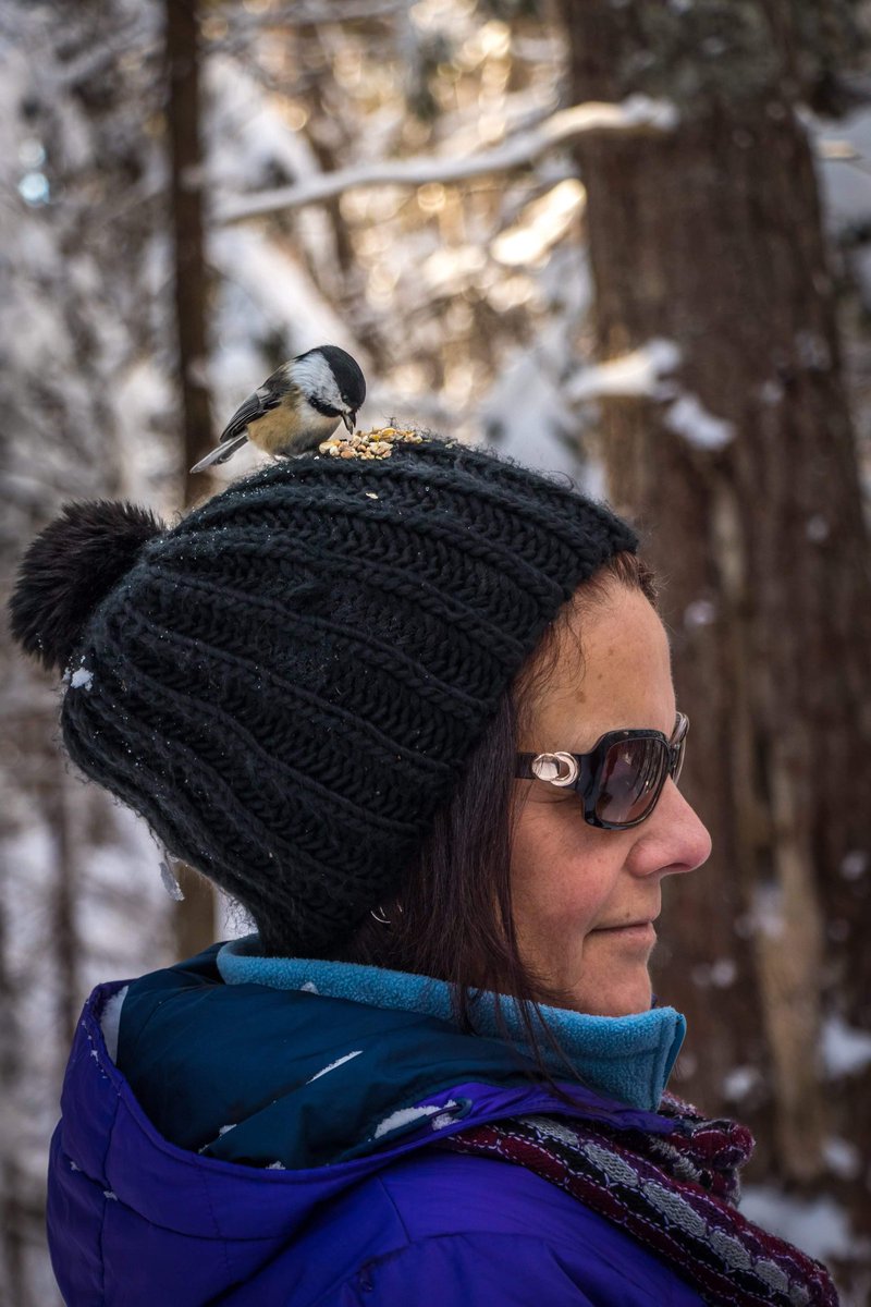 Arlene Sibley tweet media