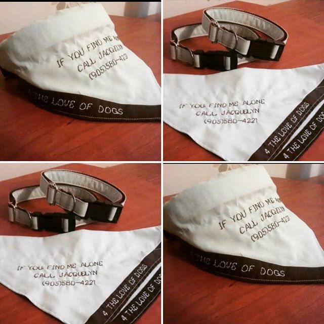 larueoriginal's tweet image. A set of 2 custom adjustable collars and microembroidered 'over collar' bandanas, created in this customers business colours 😊👍 @larueoriginal #customdogcollar #customdog #customdogbandana #handmadegifts #handmadedog #collarbandanas #dogsoftwitter #d… ift.tt/2GWerDf