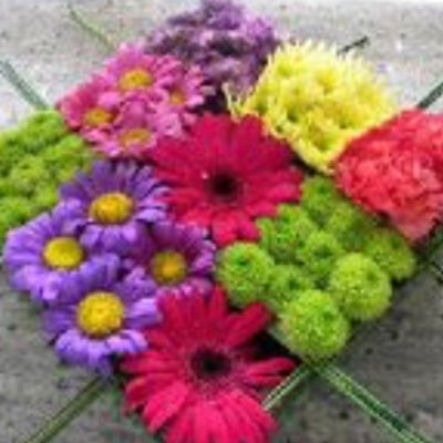 BonavistaFlowe1's tweet photo. #NewProfilePic https://t.co/Y19IzcdhHi