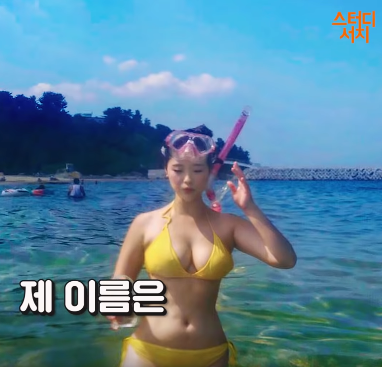 ì¤í°ëìì¹ì ëí ì´ë¯¸ì§ ê²ìê²°ê³¼