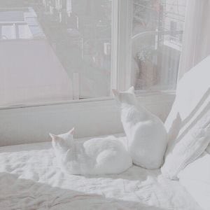 T4EVlL's tweet photo. 𝘈𝘭𝘭 𝘳𝘪𝘨𝘩𝘵, 𝘵𝘩𝘪𝘴 𝘣𝘰𝘳𝘪𝘯𝘨 𝘴𝘦𝘦𝘴𝘢𝘸 𝘨𝘢𝘮𝘦 𝘚𝘰𝘮𝘦𝘣𝘰𝘥𝘺 𝘩𝘢𝘴 𝘵𝘰 𝘨𝘦𝘵 𝘰𝘶𝘵 𝘰𝘧 𝘩𝘦𝘳𝘦 𝘛𝘩𝘰𝘶𝘨𝘩 𝘯𝘦𝘪𝘵𝘩𝘦𝘳 𝘰𝘧 𝘶𝘴 𝘤𝘢𝘯  ☾

#ARMYSeIcaDay @BTS_twt https://t.co/5sPC02N7zr