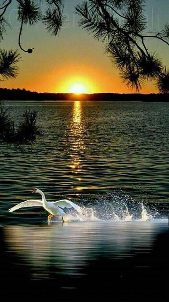 Fact840's tweet image. 