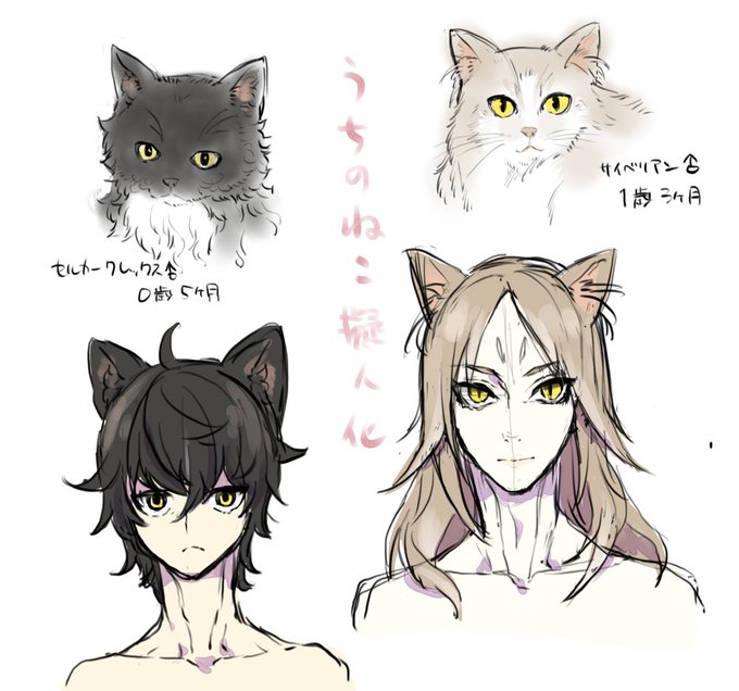 猫擬人化のtwitterイラスト検索結果 猫擬人化のtwitterイラスト検索結果