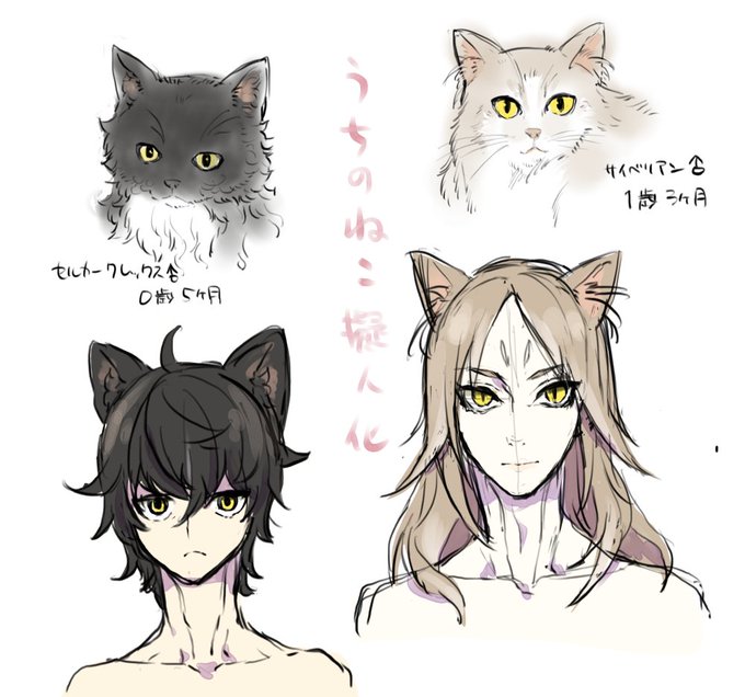 猫擬人化のtwitterイラスト検索結果 古い順