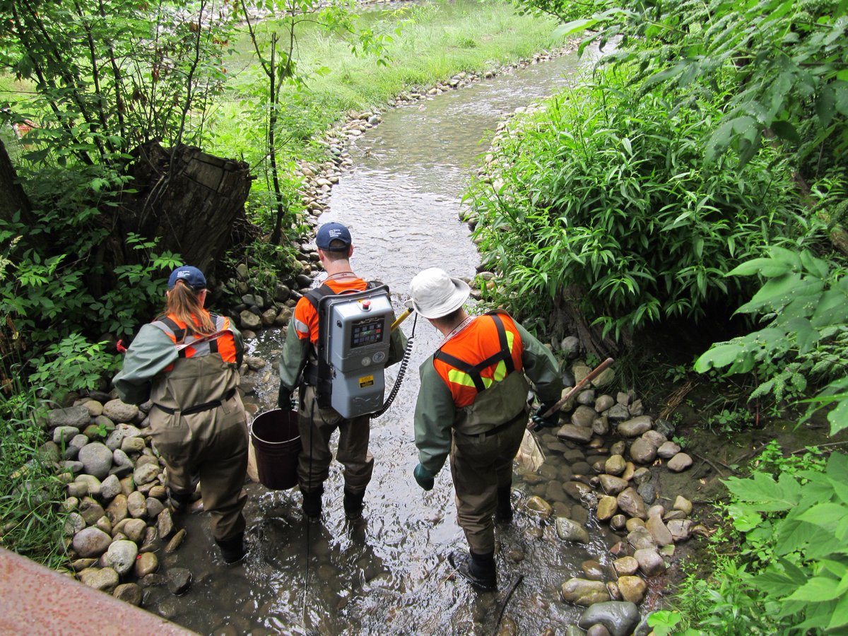 Ecologist_Rob's tweet photo. Are you looking for an entry level fisheries job? @LSRCA is looking to hire an 4 month contract to help us assess the ecology of streams in the Lake Simcoe watershed as a Watershed Assessment Technician. https://t.co/6DzHFs8Li8 #biologyjobs #LSRCA #summerjobs #fisheriesjobs https://t.co/6lQ1qWXJya