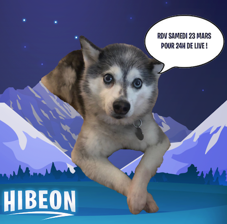 Une annonce importante de Loulou ! #twitch #marathon #24h