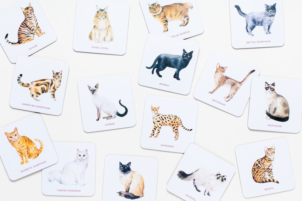 LaurenceKingPub's tweet image. These 15 coasters feature favourite cat breeds illustrated by Marcel George. The perfect gift for cat lovers! laurenceking.com/product/cat-co…
🙀😺😸

 #LKPGifts #catcoasters #cats #pets #catoftheday #catlovers #animals #kittens #catlady