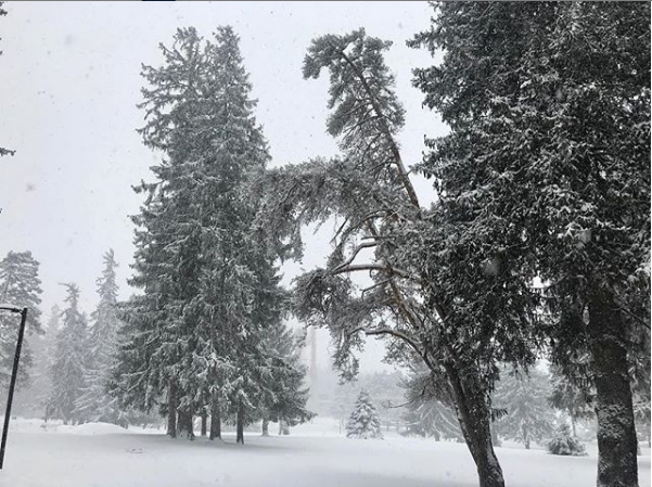 UMFinAid's tweet photo. It may be messy out there, but our office is still open! Stop by Wingate Hall, if you need any assistance with your financial aid! https://t.co/IE7VlhpVWY