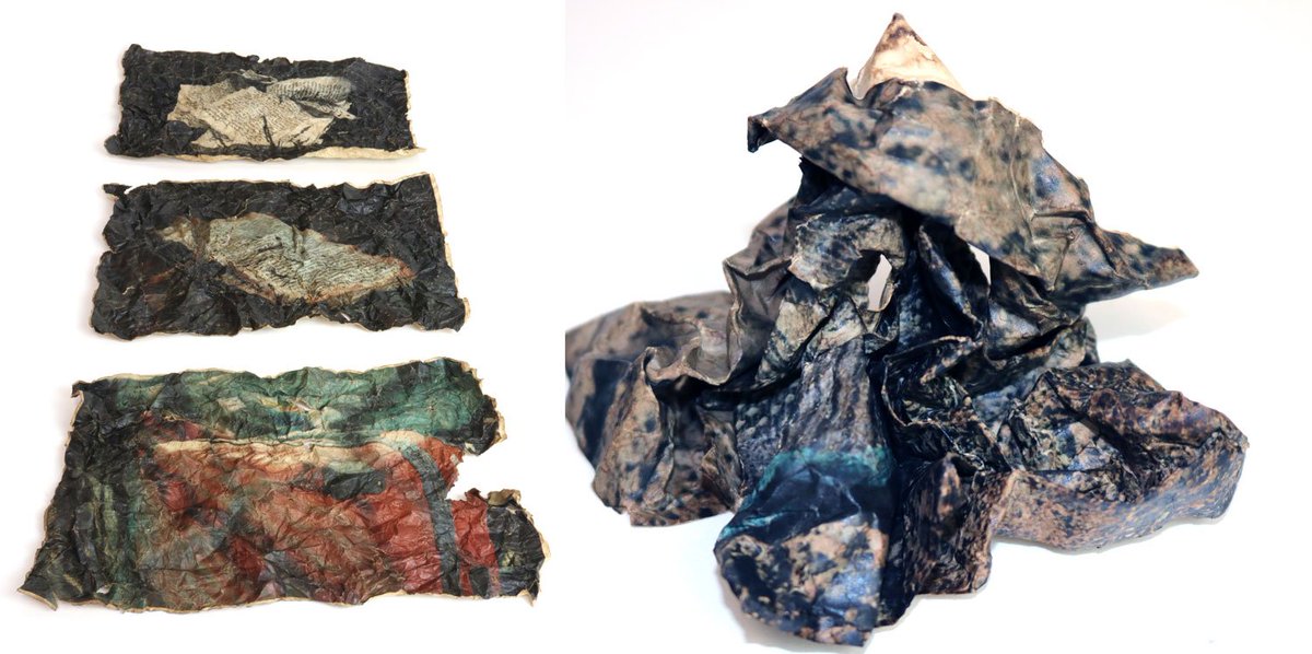 photo_worth's tweet image. #DiscardedItems #GCSE #Photography