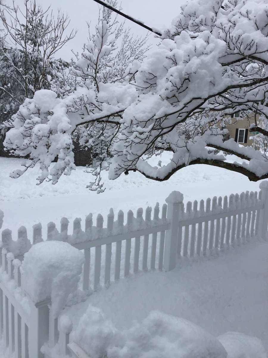 EarlDarl's tweet photo. Spring soon springs,
But boughs bow. 
⁃March 4, 2019 https://t.co/tHe2zBXxfn