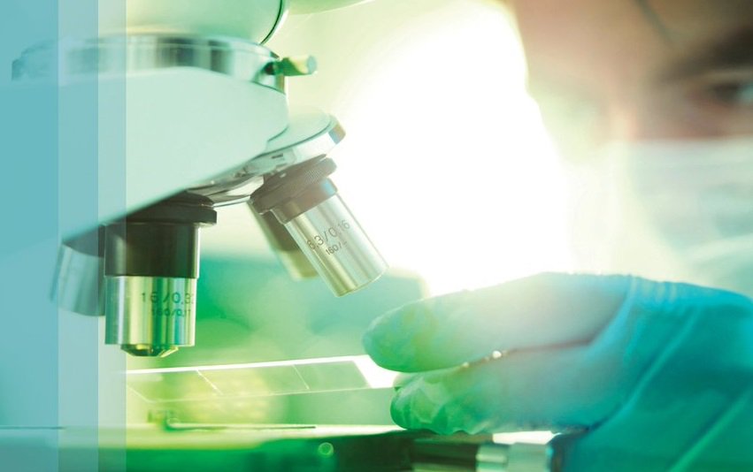 INSIGHT MM: Myelom hastalığının içyüzünü anlama çalışması 
#bortezomib #carfilzomib #daratumumab #hematolojiistanbul #insightmm #ixazomib #lenalidomide #memorialataşehirhematoloji #miyelom #miyelomtedavisi #multiplemyeloma #myelom #pomalidomide #profdrhi profdrhisari.com/insight-mm-mye…