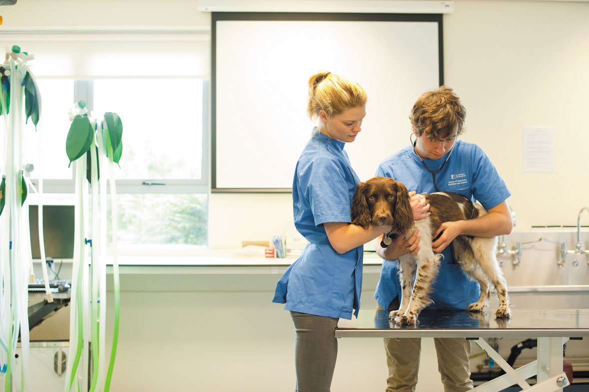UoNPressOffice's tweet image. Drum roll please... exciting announcement from @NottinghamVets - we're doubling our student numbers by moving to a dual intake to help tackle shortages in the vet industry ow.ly/EhF730nUC2P #studentvets #vets #MyStudentVet @thestudentroom